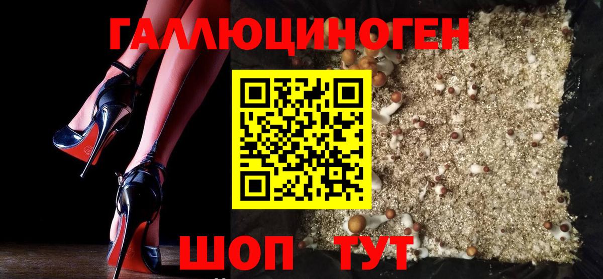 Псилоцибиновые грибы Cubensis Обь