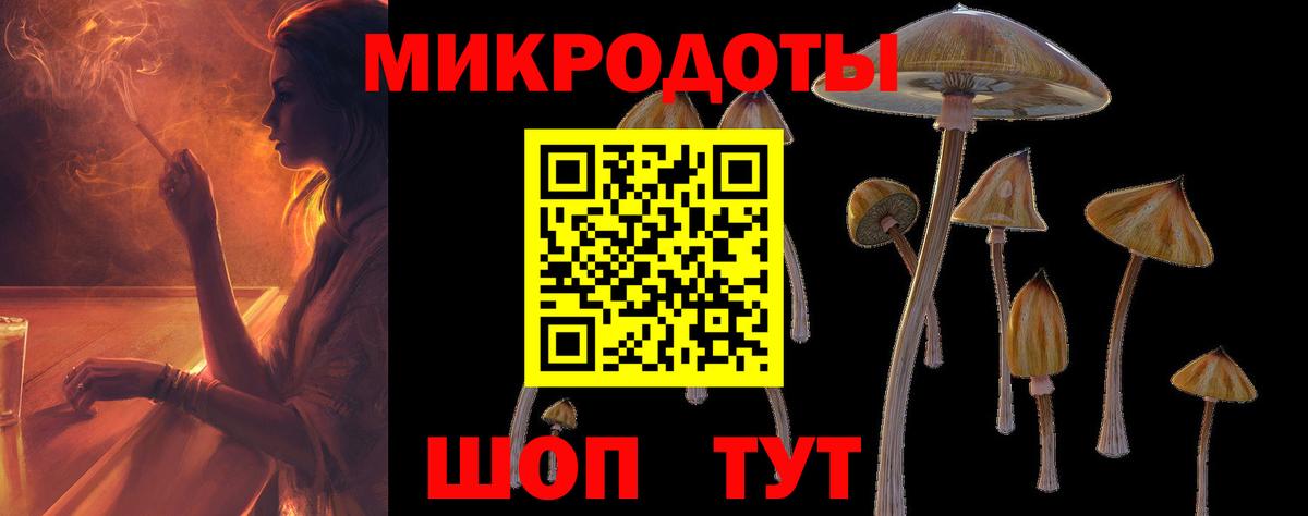 Обь  Псилоцибиновые грибы GOLDEN TEACHER  Вход с VPN 
